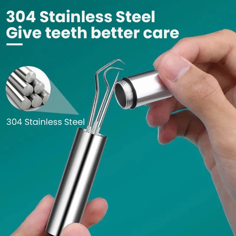 Stainless Steel Toothpick Port - Lock Picking Set recensie en prijs