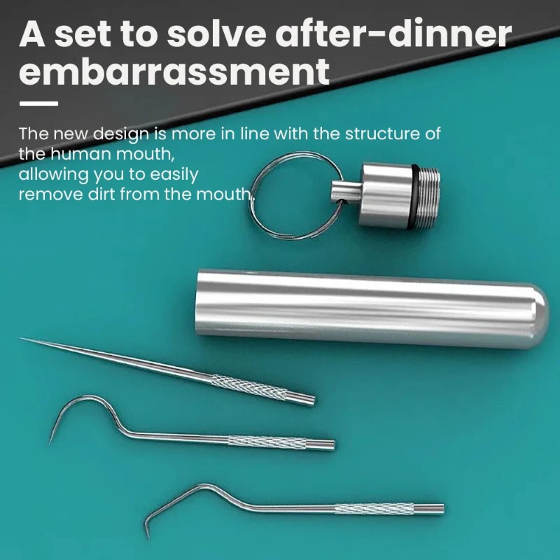 Stainless Steel Toothpick Port - Lock Picking Set recensie en prijs