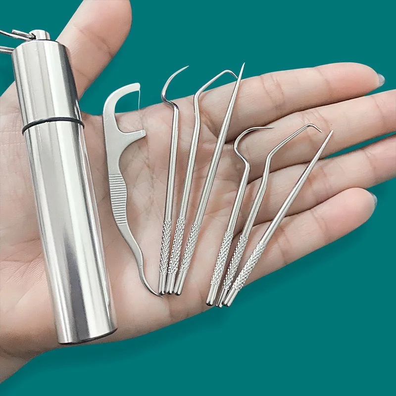Stainless Steel Toothpick Set  - Lock Picking Set recensie en prijs