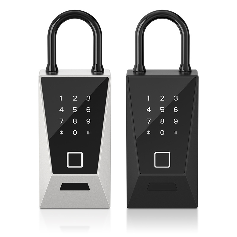 Smart Password Fingerprint IC  - Home Security Key Box recensie en prijs